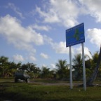 FIRST SIGN