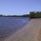 Cleaning beach 1