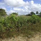 Praia como ficou 4