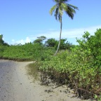 Praia como ficou 9
