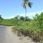 Beach after our work1